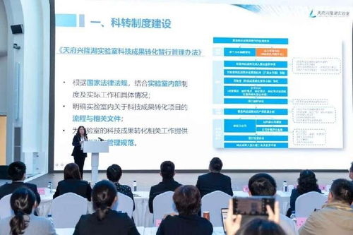 推動更多科技成果就地轉化 信息技術咨詢服務助力國家隊實驗室與大裝置融合發(fā)展